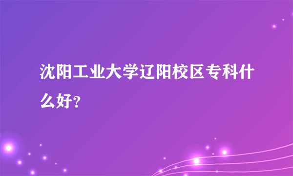 沈阳工业大学辽阳校区专科什么好？