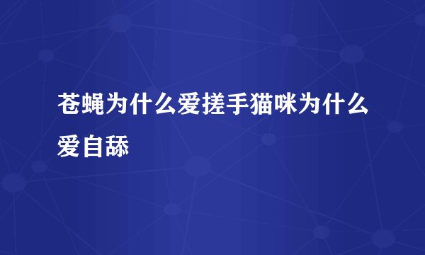苍蝇为什么爱搓手猫咪为什么爱自舔