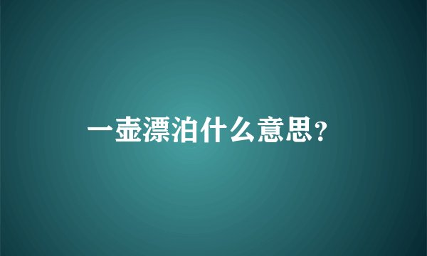 一壶漂泊什么意思？