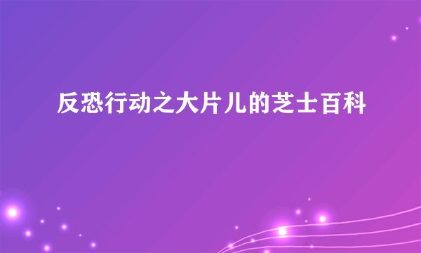 反恐行动之大片儿的芝士百科