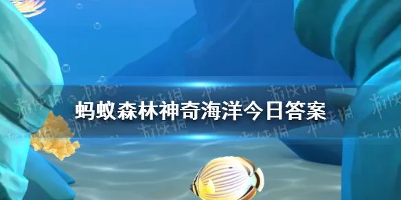 海洋之舟是海豚还是企鹅