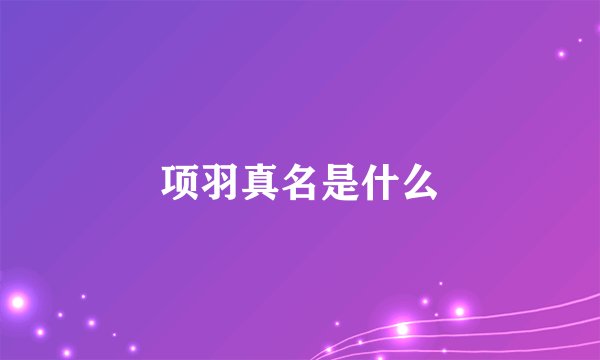 项羽真名是什么