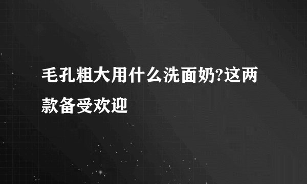 毛孔粗大用什么洗面奶?这两款备受欢迎