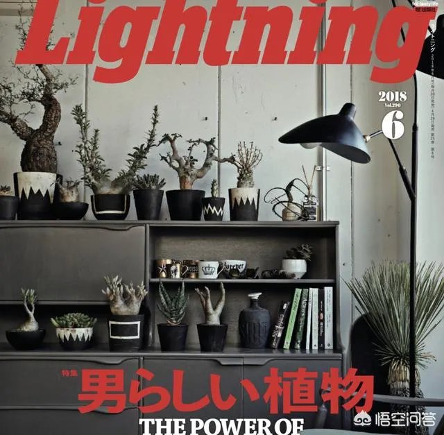 有哪些关于日系或者韩系穿搭的杂志值得推荐?