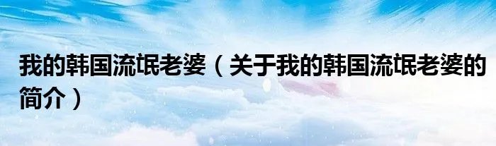 我的韩国流氓老婆（关于我的韩国流氓老婆的简介）