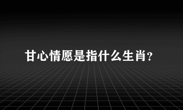 甘心情愿是指什么生肖？