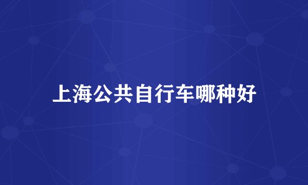 上海公共自行车哪种好