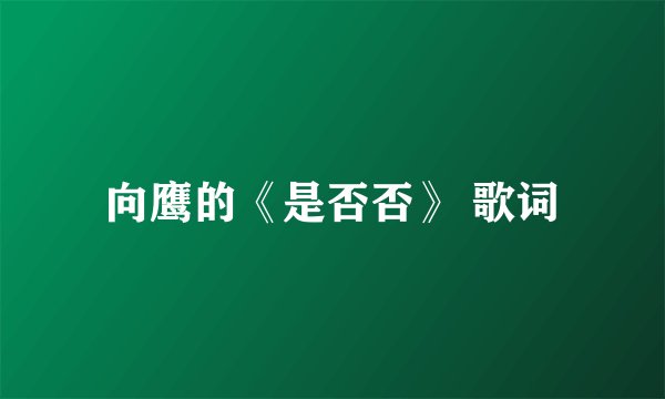 向鹰的《是否否》 歌词