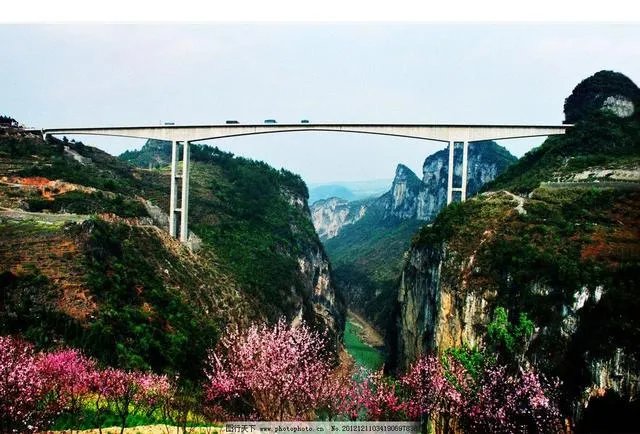 你知道中国百里杜鹃花都在哪里吗?