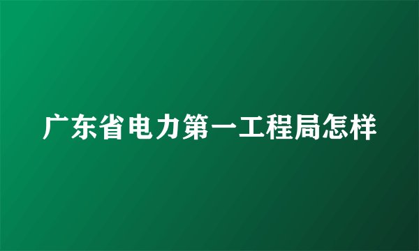 广东省电力第一工程局怎样
