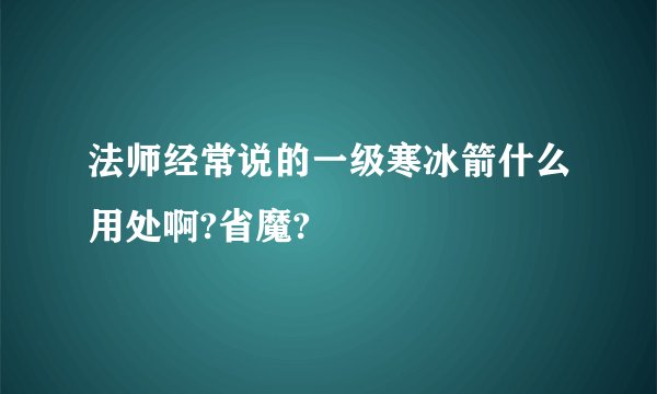 法师经常说的一级寒冰箭什么用处啊?省魔?