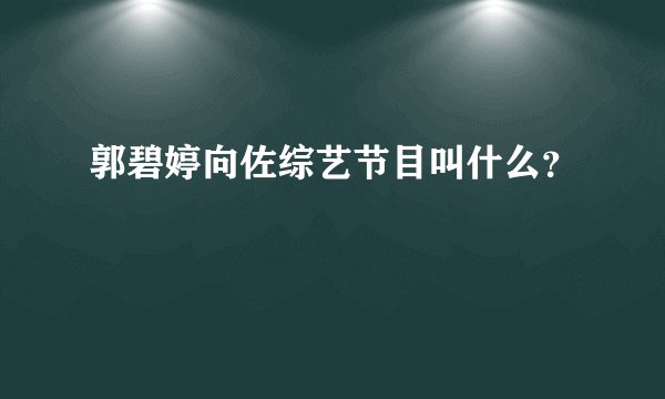 郭碧婷向佐综艺节目叫什么？