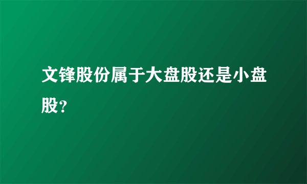 文锋股份属于大盘股还是小盘股?