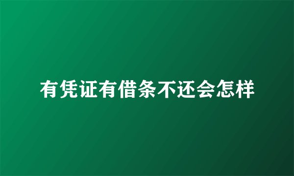 有凭证有借条不还会怎样