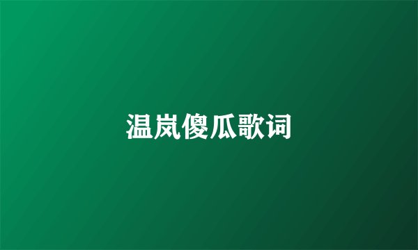 温岚傻瓜歌词