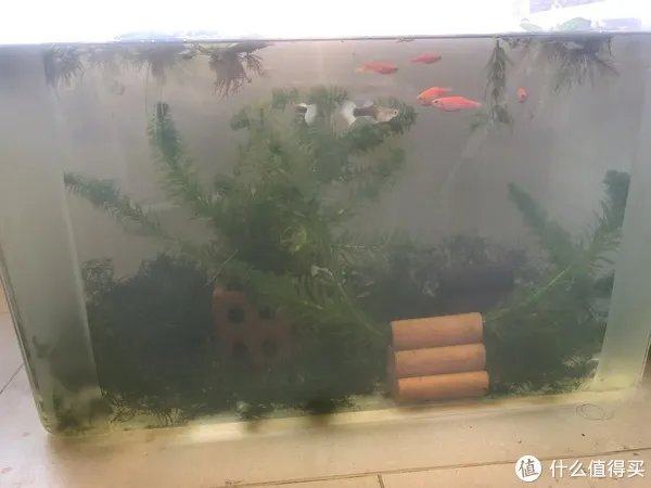 水族用品