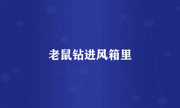 老鼠钻进风箱里