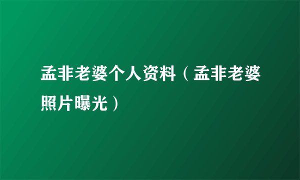 孟非老婆个人资料（孟非老婆照片曝光）