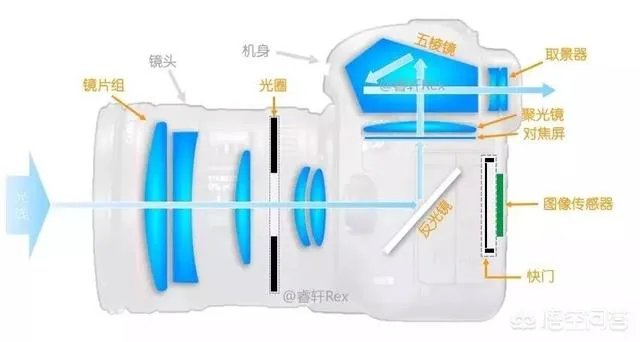 无反，微单，单反有什么区别，如果购买应该买哪种呢？