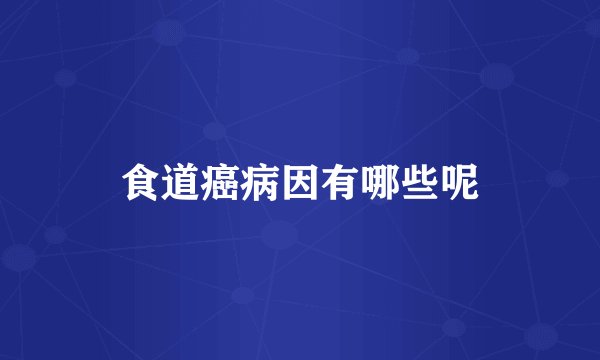 食道癌病因有哪些呢