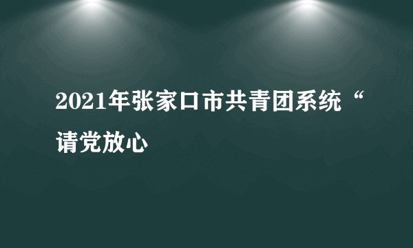 2021年张家口市共青团系统“请党放心