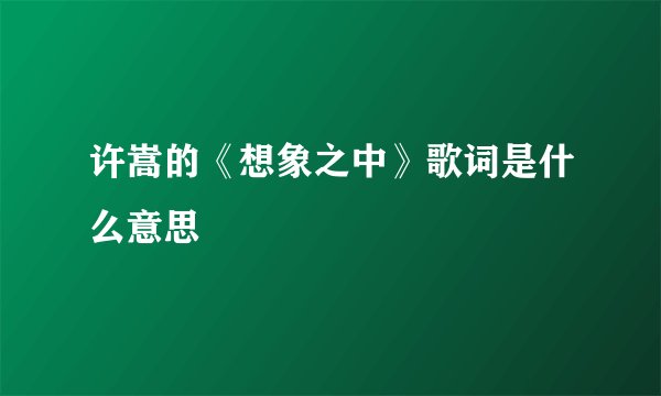 许嵩的《想象之中》歌词是什么意思