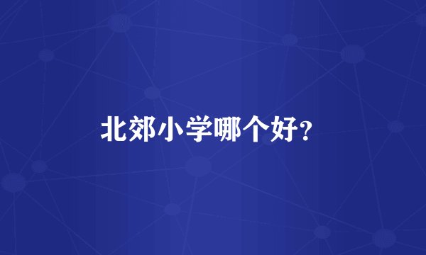 北郊小学哪个好？