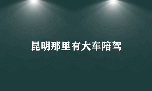 昆明那里有大车陪驾