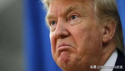 截至5月3日12时,美国死亡人数创新高,特朗普最大的报应终于来了!你如何评价?