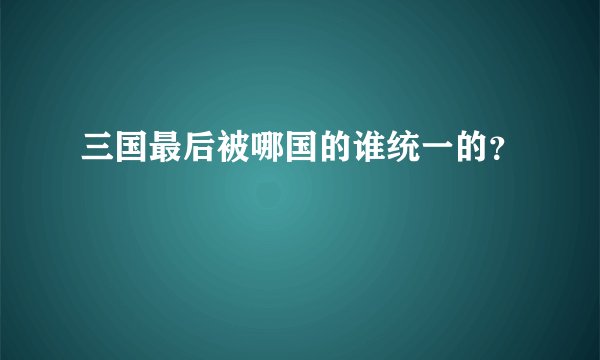 三国最后被哪国的谁统一的？