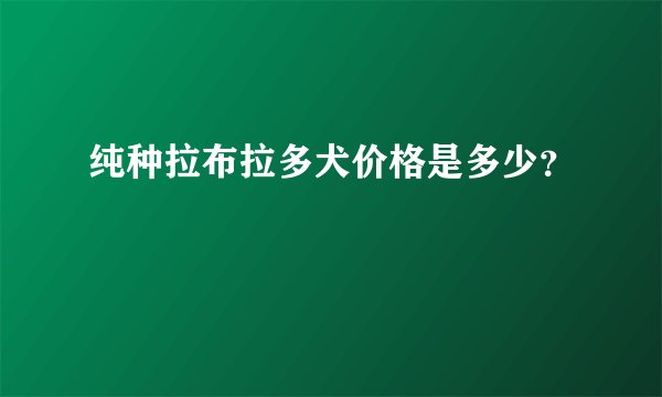 纯种拉布拉多犬价格是多少？