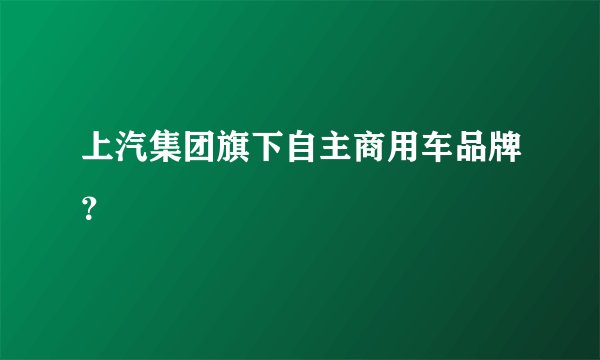 上汽集团旗下自主商用车品牌?