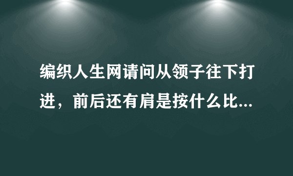 编织人生网请问从领子往下打进，前后还有肩是按什么比例分针的？