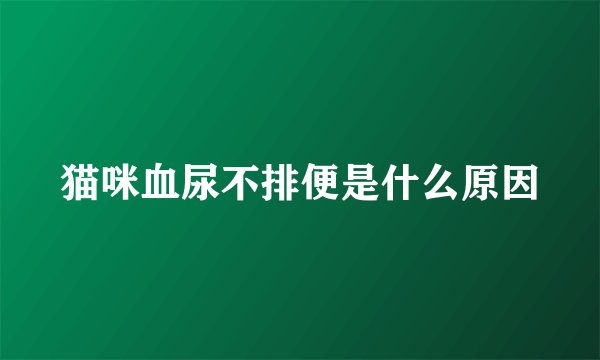 猫咪血尿不排便是什么原因