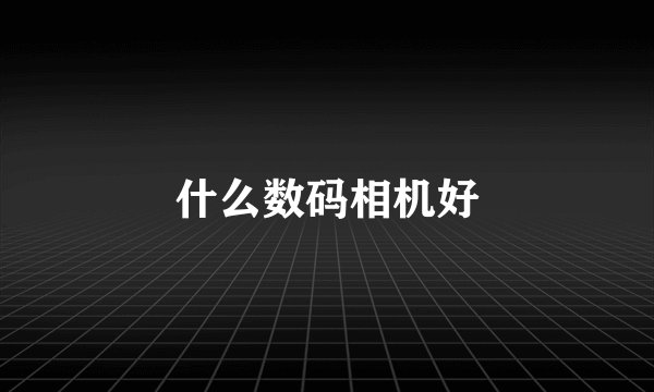 什么数码相机好