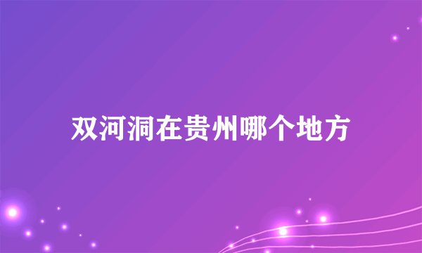 双河洞在贵州哪个地方
