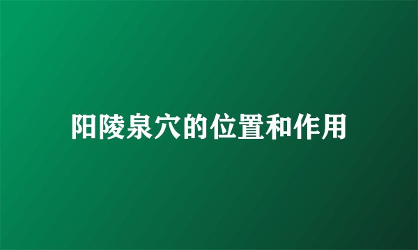 阳陵泉穴的位置和作用