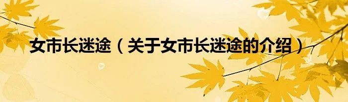 女市长迷途（关于女市长迷途的介绍）