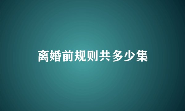 离婚前规则共多少集