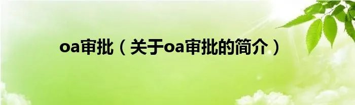 oa审批(关于oa审批的简介)