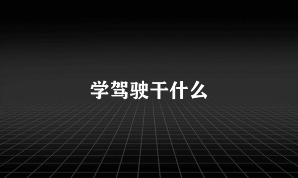 学驾驶干什么