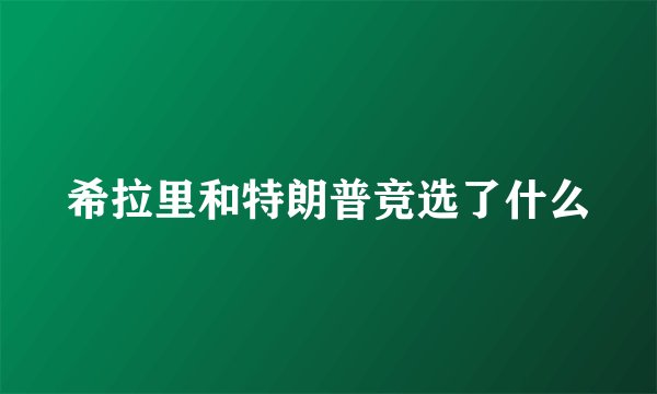 希拉里和特朗普竞选了什么