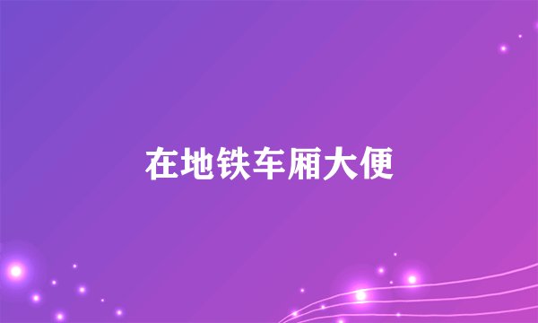 在地铁车厢大便