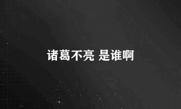 诸葛不亮 是谁啊