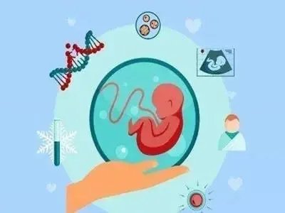 借卵试管医院-中华国际和平妇幼保健院可以借卵子做供卵试管吗？附上上海排名前三的供卵试管医院推荐
