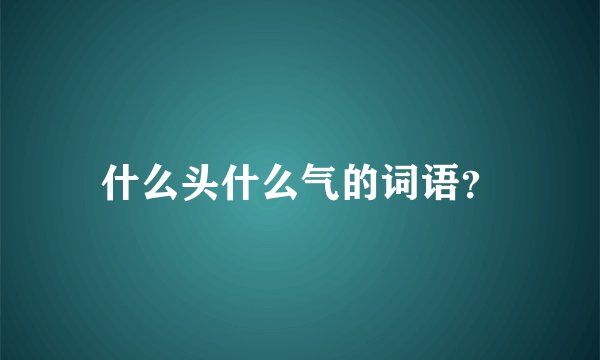 什么头什么气的词语？