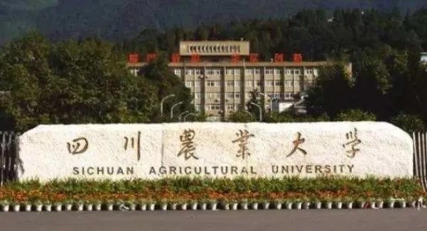 四川农业大学研究生院官网