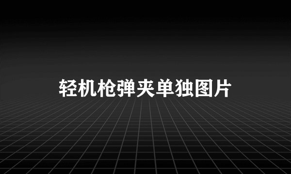 轻机枪弹夹单独图片