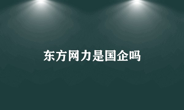 东方网力是国企吗