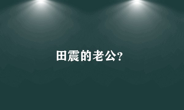 田震的老公？